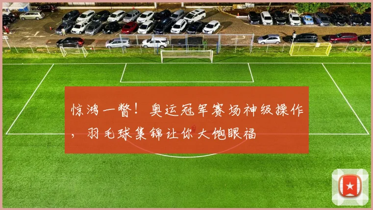 惊鸿一瞥！奥运冠军赛场神级操作，羽毛球集锦让你大饱眼福